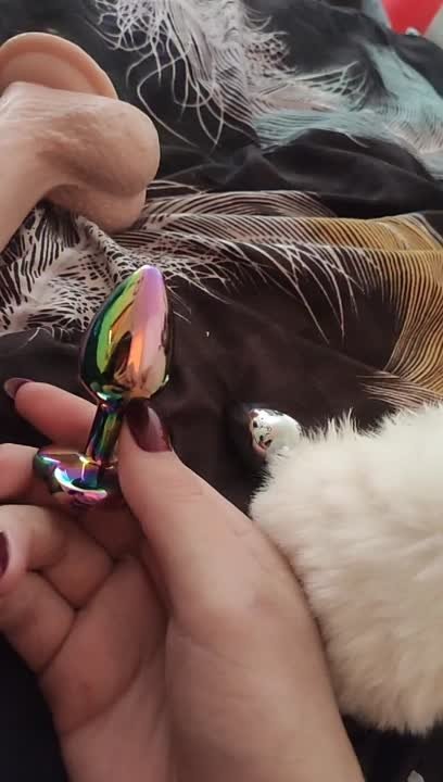 Multicolored anal plug